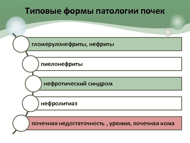 Типовые формы патологии почек гломерулонефриты, нефриты пиелонефриты нефротический синдром нефролитиаз почечная недостаточность , уремия,