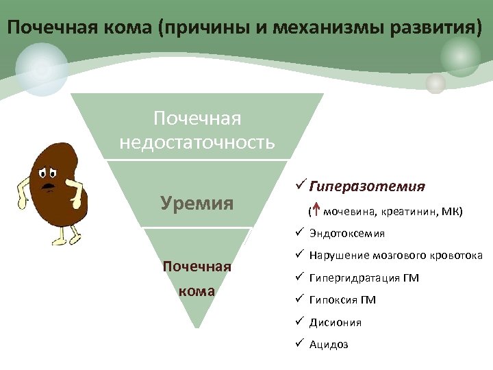 Почечная кома (причины и механизмы развития) Почечная недостаточность Уремия ü Гиперазотемия ( мочевина, креатинин,