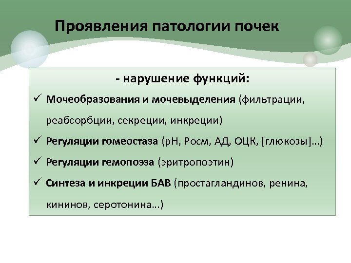 Проявления патологии почек - нарушение функций: ü Мочеобразования и мочевыделения (фильтрации, реабсорбции, секреции, инкреции)