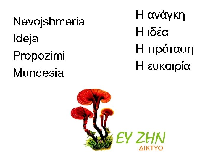 Nevojshmeria Ideja Propozimi Mundesia Η ανάγκη Η ιδέα Η πρόταση Η ευκαιρία 