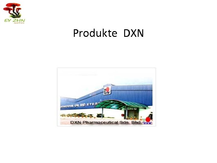 Produkte DXN 