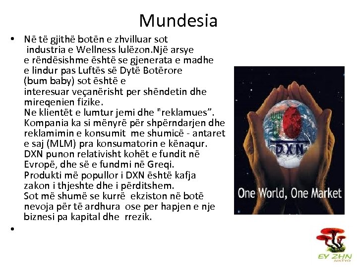 Mundesia • Në të gjithë botën e zhvilluar sot industria e Wellness lulëzon. Një
