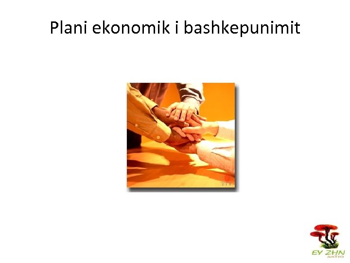 Plani ekonomik i bashkepunimit 