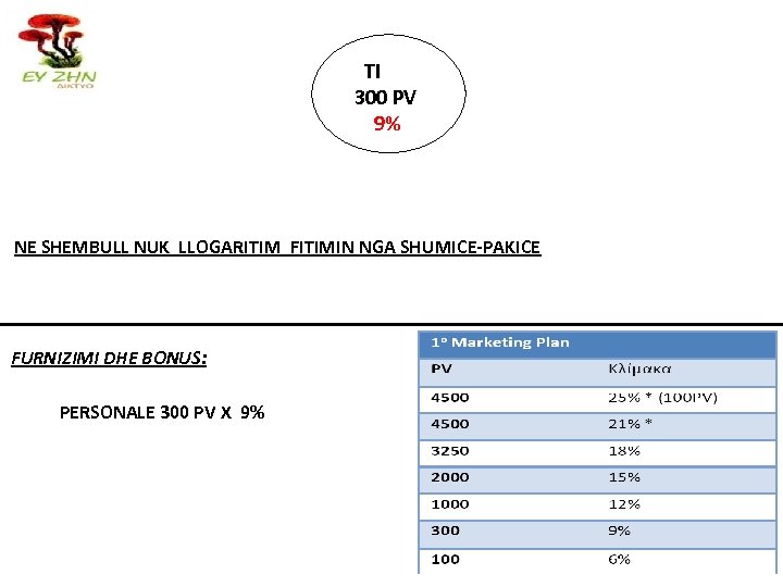 TI 300 PV 9% NE SHEMBULL NUK LLOGARITIM FITIMIN NGA SHUMICE-PAKICE FURNIZIMI DHE BONUS: