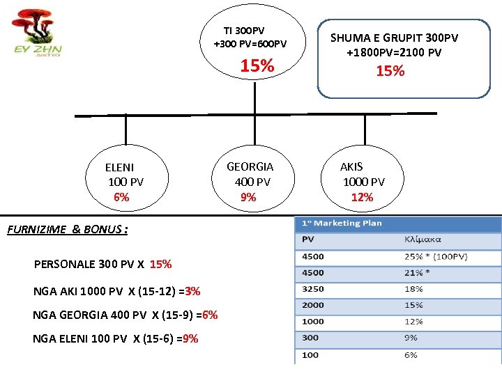 TI 300 PV +300 PV=600 PV 15% ELENI 100 PV 6% FURNIZIME & BONUS
