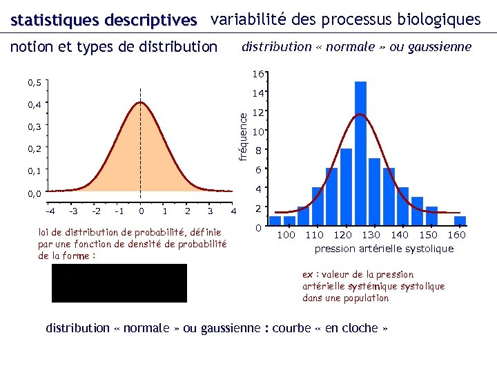 statistiques descriptives variabilité des processus biologiques notion et types de distribution « normale »