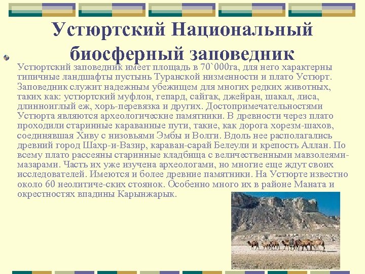 Устюртский Национальный биосферный заповедник Устюртский заповедник имеет площадь в 70`000 га, для него характерны