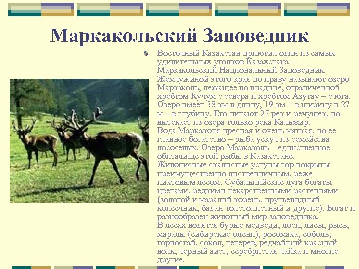 Маркакольский Заповедник Восточный Казахстан приютил один из самых удивительных уголков Казахстана – Маркакольский Национальный