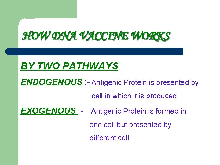 HOW DNA VACCINE WORKS BY TWO PATHWAYS ENDOGENOUS : - Antigenic Protein is presented