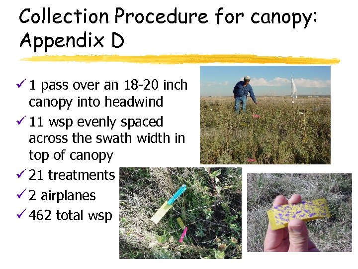 Collection Procedure for canopy: Appendix D ü 1 pass over an 18 -20 inch