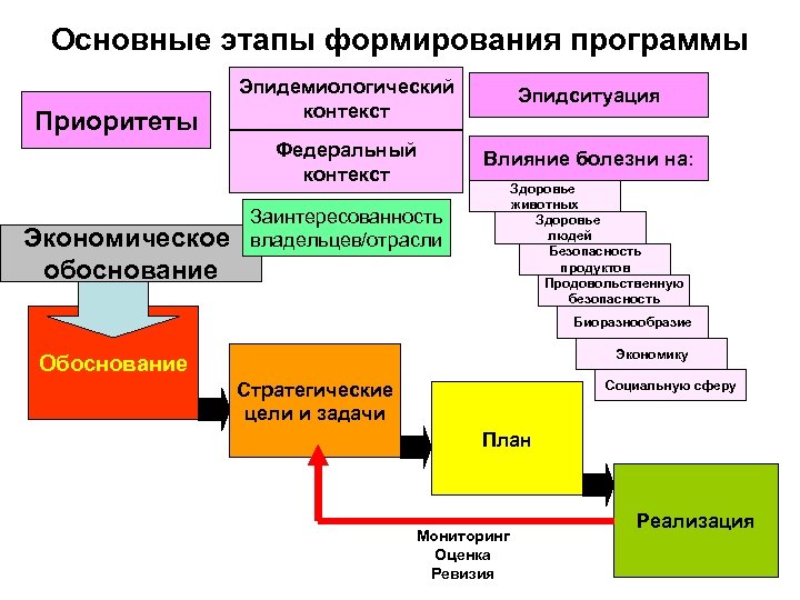 Основные этапы формирования программы Экономическое обоснование Эпидситуация Федеральный контекст Приоритеты Эпидемиологический контекст Влияние болезни