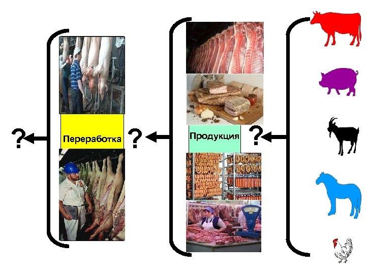 ? Переработка ? Продукция ? 9 