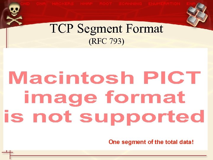 TCP Segment Format (RFC 793) One segment of the total data! 