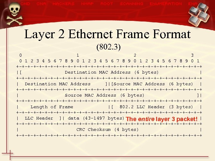 Layer 2 Ethernet Frame Format (802. 3) 0 1 2 3 4 5 6