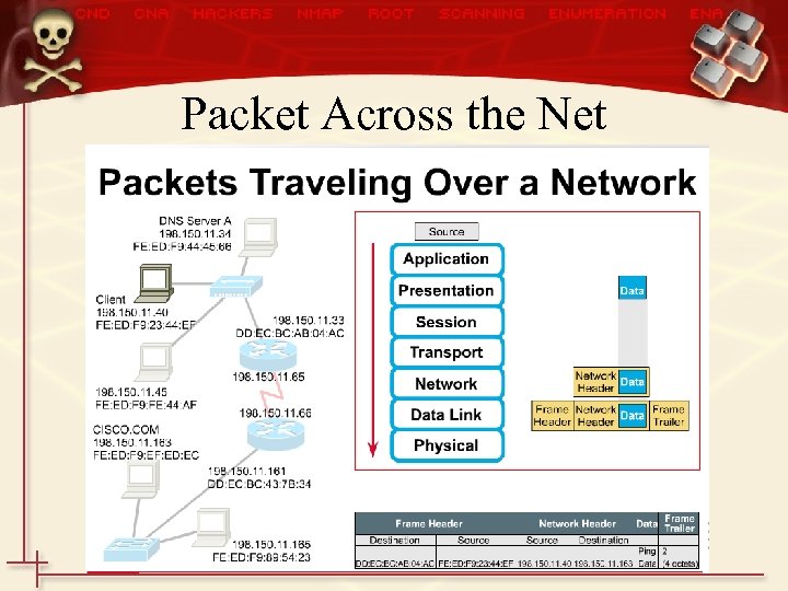 Packet Across the Net 
