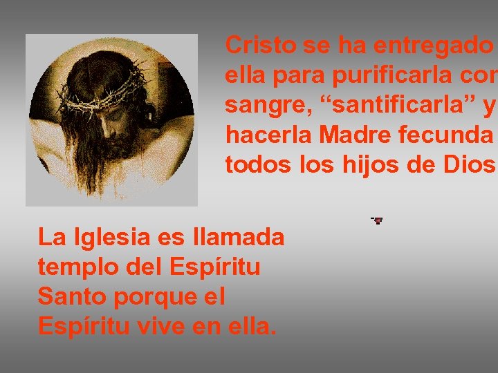 Cristo se ha entregado ella para purificarla con sangre, “santificarla” y hacerla Madre fecunda