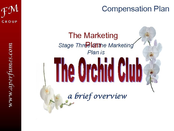 FM Compensation Plan www. aperfumes. com GROUP The Marketing Stage Three of the Marketing