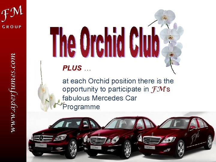 FM www. aperfumes. com GROUP PLUS … at each Orchid position there is the