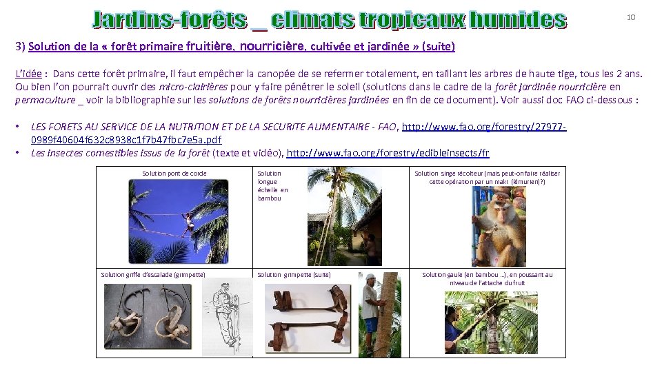 10 3) Solution de la « forêt primaire fruitière, nourricière, cultivée et jardinée »