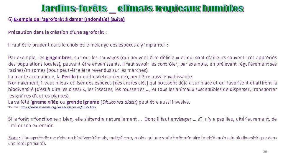 6) Exemple de l’agroforêt à damar (Indonésie) (suite) Précaution dans la création d’une agroforêt