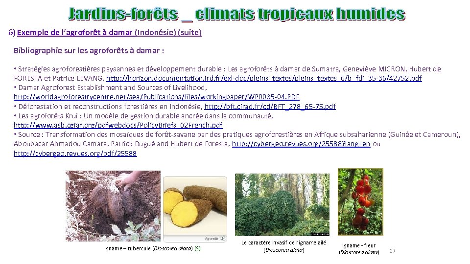 6) Exemple de l’agroforêt à damar (Indonésie) (suite) Bibliographie sur les agroforêts à damar