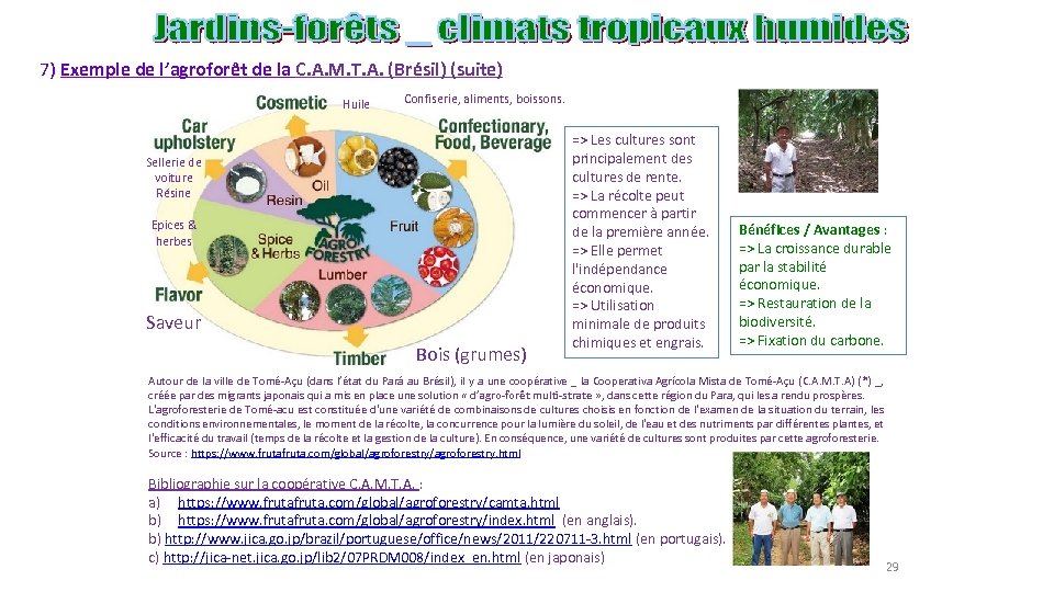 7) Exemple de l’agroforêt de la C. A. M. T. A. (Brésil) (suite) Huile