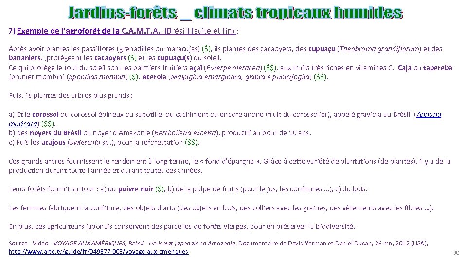 7) Exemple de l’agroforêt de la C. A. M. T. A. (Brésil) (suite et