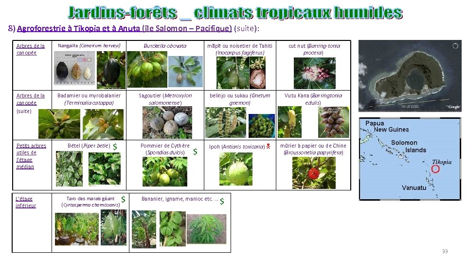 8) Agroforestrie à Tikopia et à Anuta (île Salomon – Pacifique) (suite): Arbres de