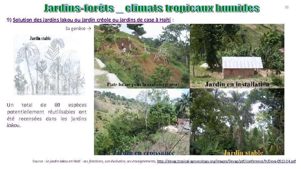 35 9) Solution des jardins lakou ou jardin créole ou jardins de case à