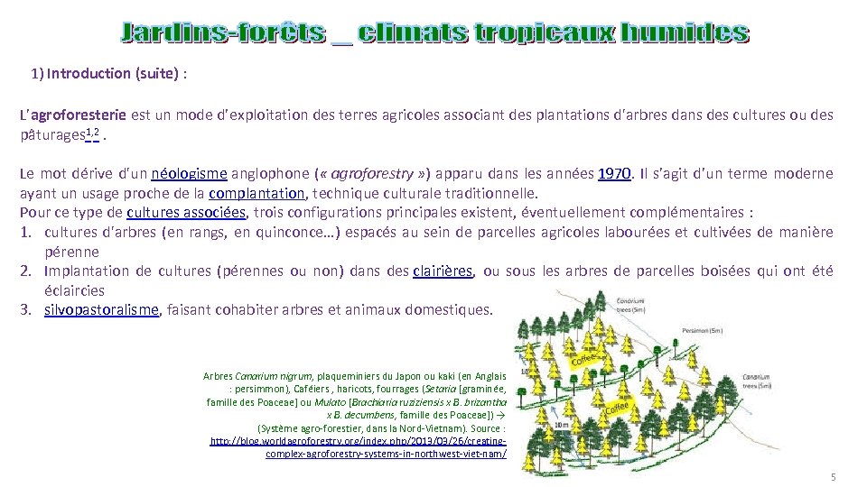 1) Introduction (suite) : L’agroforesterie est un mode d’exploitation des terres agricoles associant des