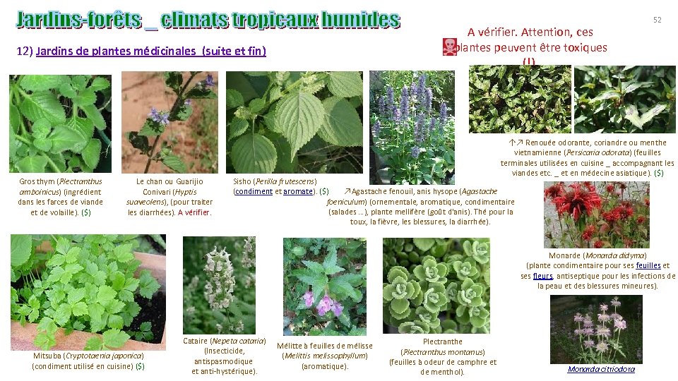 A vérifier. Attention, ces plantes peuvent être toxiques (!). 12) Jardins de plantes médicinales