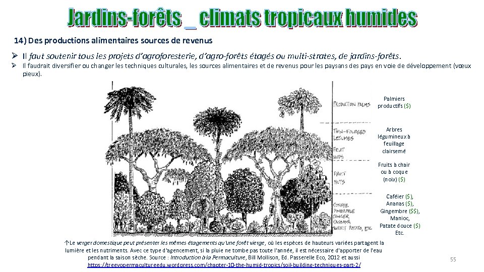 14) Des productions alimentaires sources de revenus Ø Il faut soutenir tous les projets