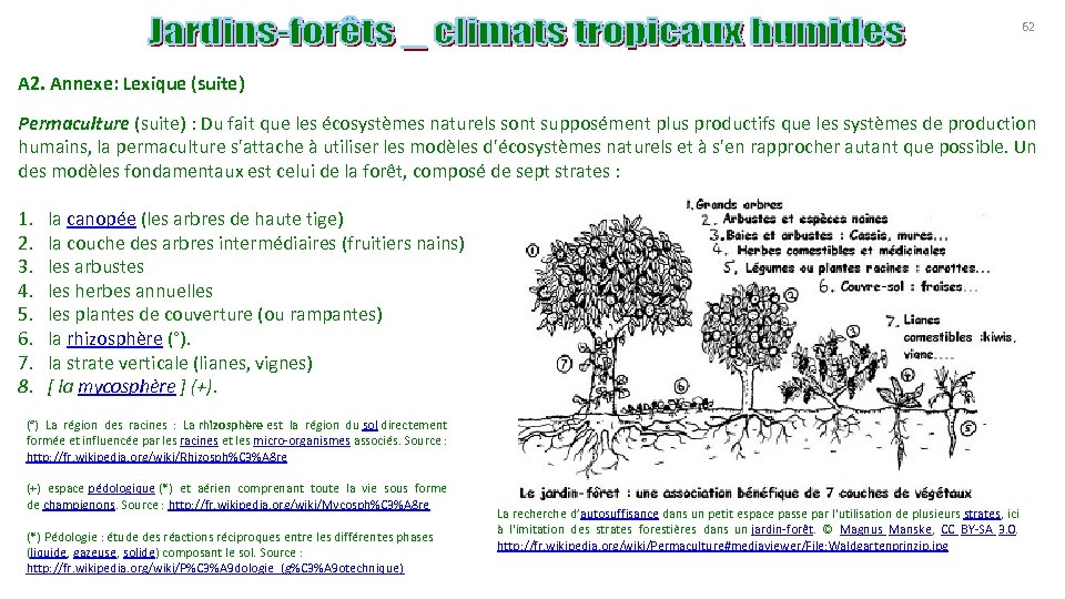 62 A 2. Annexe: Lexique (suite) Permaculture (suite) : Du fait que les écosystèmes