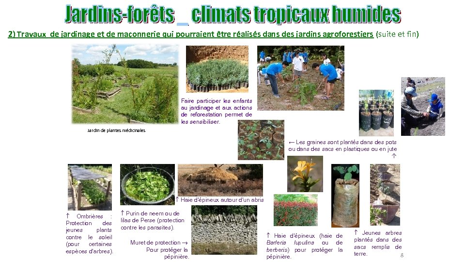 2) Travaux de jardinage et de maçonnerie qui pourraient être réalisés dans des jardins