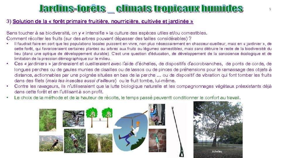 9 3) Solution de la « forêt primaire fruitière, nourricière, cultivée et jardinée »