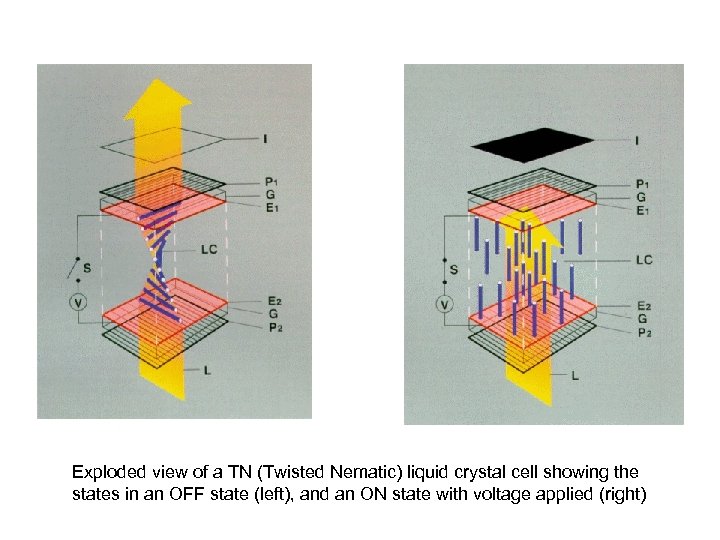 Exploded view of a TN (Twisted Nematic) liquid crystal cell showing the states in