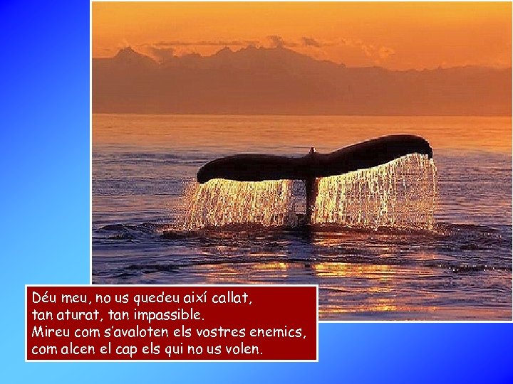 Déu meu, no us quedeu així callat, tan aturat, tan impassible. Mireu com s’avaloten