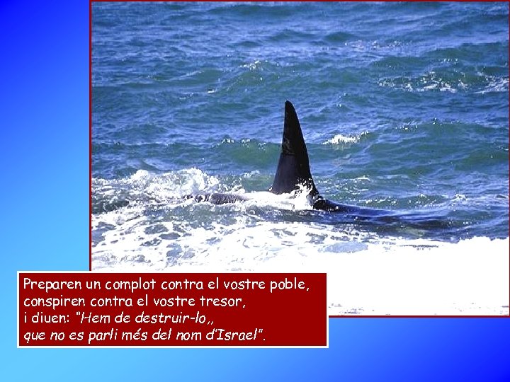 Preparen un complot contra el vostre poble, conspiren contra el vostre tresor, i diuen: