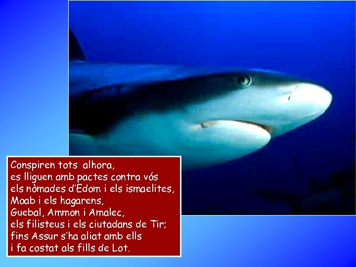 Conspiren tots alhora, es lliguen amb pactes contra vós els nòmades d’Edom i els