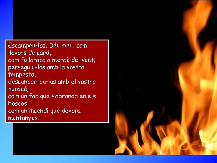 Escampeu-los, Déu meu, com llavors de card, com fullaraca a mercè del vent; perseguiu-los