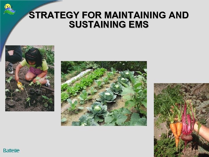 STRATEGY FOR MAINTAINING AND SUSTAINING EMS 3 
