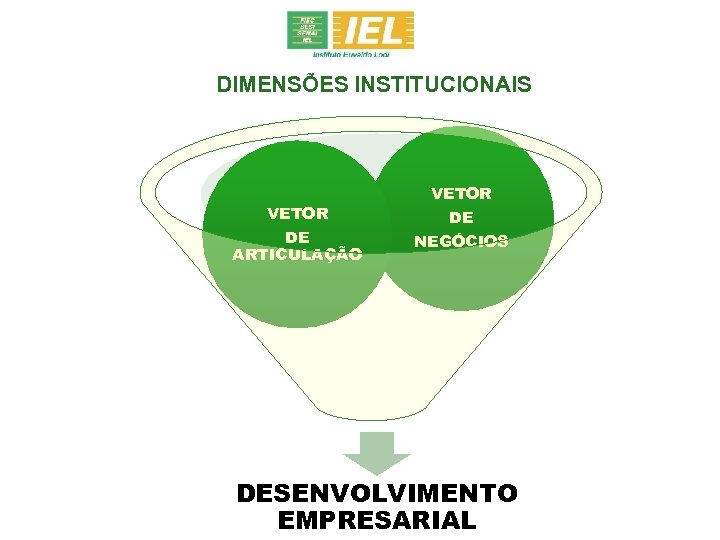 DIMENSÕES INSTITUCIONAIS VETOR DE ARTICULAÇÃO VETOR DE NEGÓCIOS DESENVOLVIMENTO EMPRESARIAL 