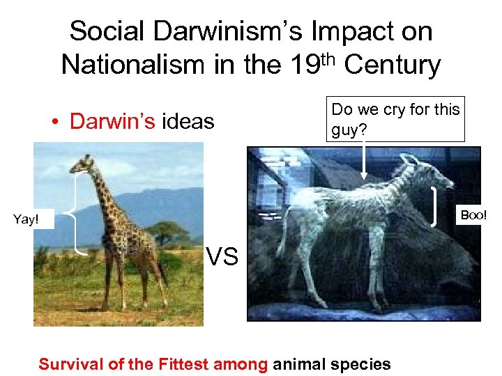 Social Darwinism’s Impact on Nationalism in the 19 th Century • Darwin’s ideas Do