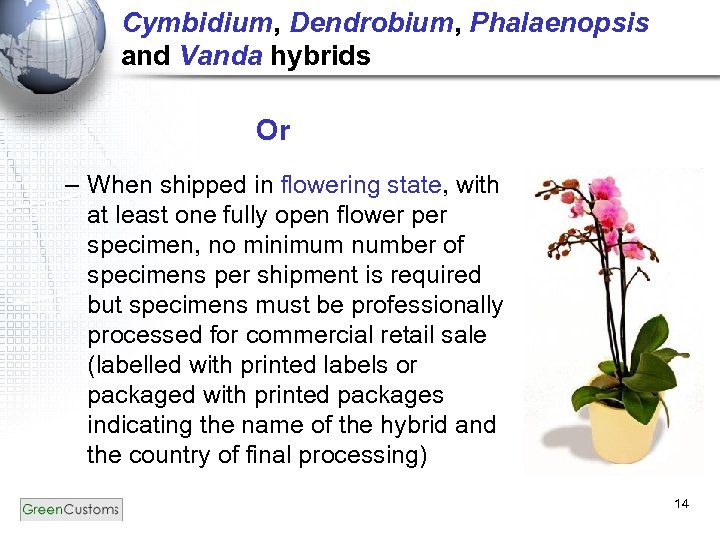 Cymbidium, Dendrobium, Phalaenopsis and Vanda hybrids Or – When shipped in flowering state, with
