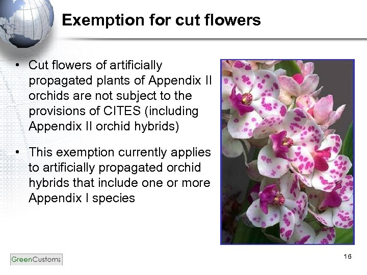 Exemption for cut flowers • Cut flowers of artificially propagated plants of Appendix II