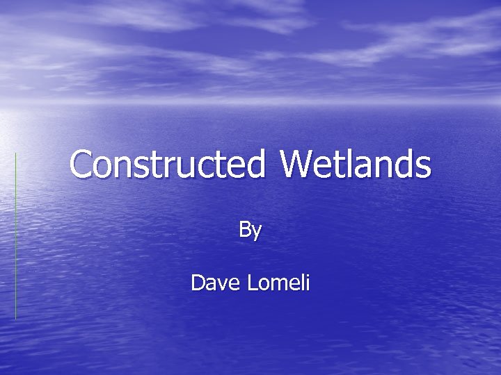Constructed Wetlands By Dave Lomeli 