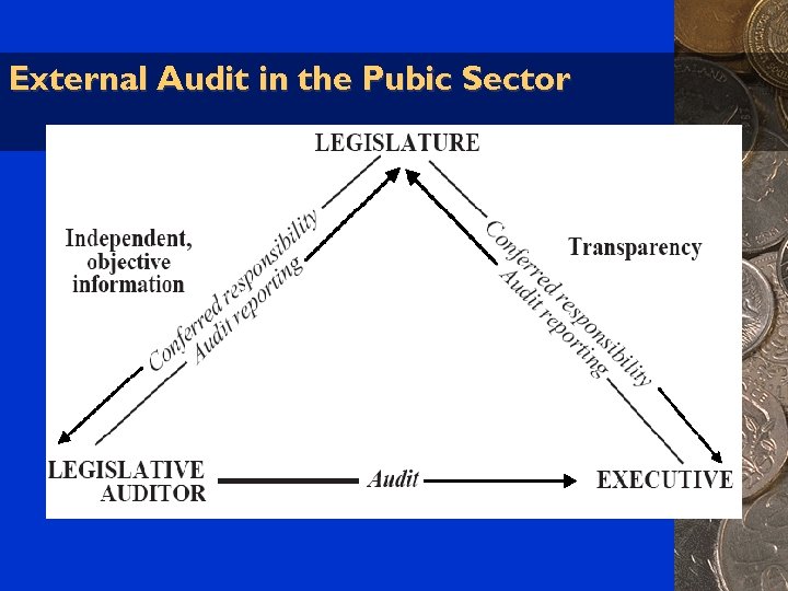 External Audit in the Pubic Sector 