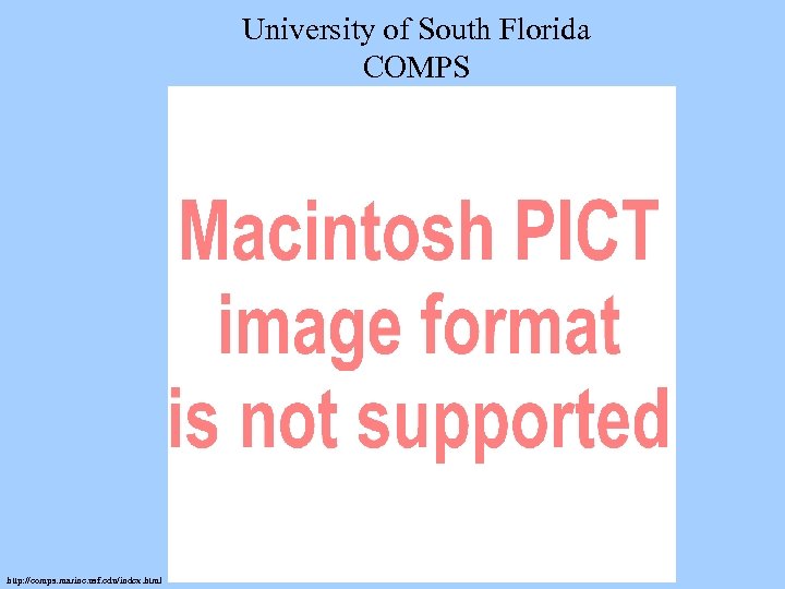 University of South Florida COMPS http: //comps. marine. usf. edu/index. html 