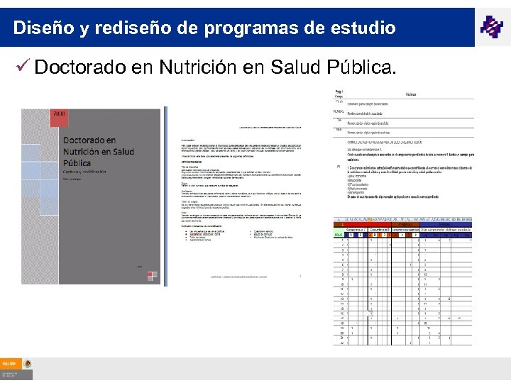 Diseño y rediseño de programas de estudio ü Doctorado en Nutrición en Salud Pública.