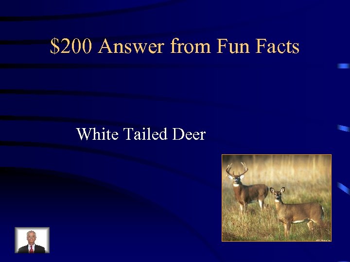 $200 Answer from Fun Facts White Tailed Deer 